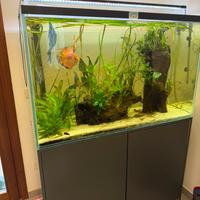 Acquario da 400 litri