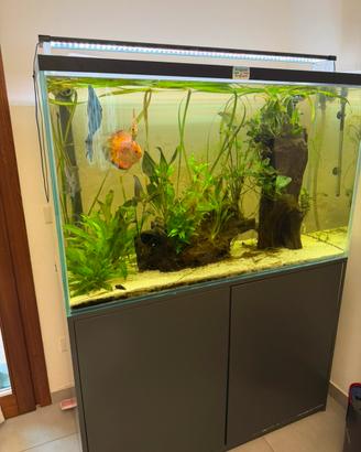 Acquario da 400 litri