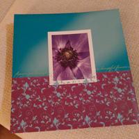 Album portafoto vintage mai usato 