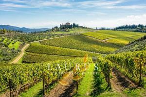 Villa di 800 m² con più di 5 locali e box auto dop