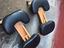Immagine 5