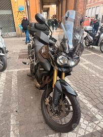 Triumph tiger 800