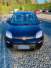 Panda Hybrid 2023 | Km0 Pari al Nuovo