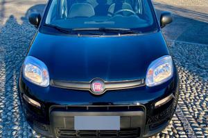 Panda Hybrid 2023 | Km0 Pari al Nuovo