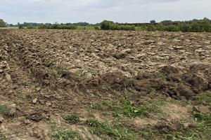 Terreno agricolo con pozzo