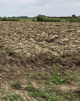 Terreno agricolo con pozzo