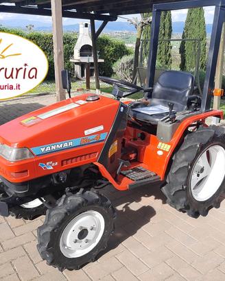 TRATTORE AGRICOLO USATO