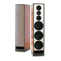 Diffusori PSB T8 Platinum + C2 Platinum