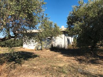 Rif. 250a capannone a moscufo