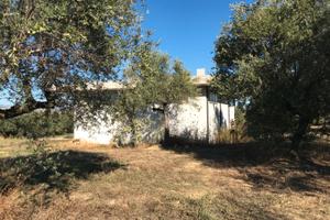 Rif. 250a capannone a moscufo