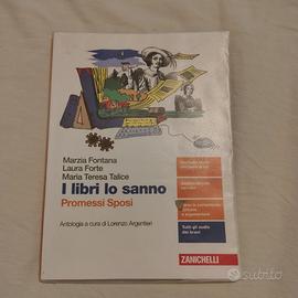 l libri lo sanno promessi sposi 9788808708151