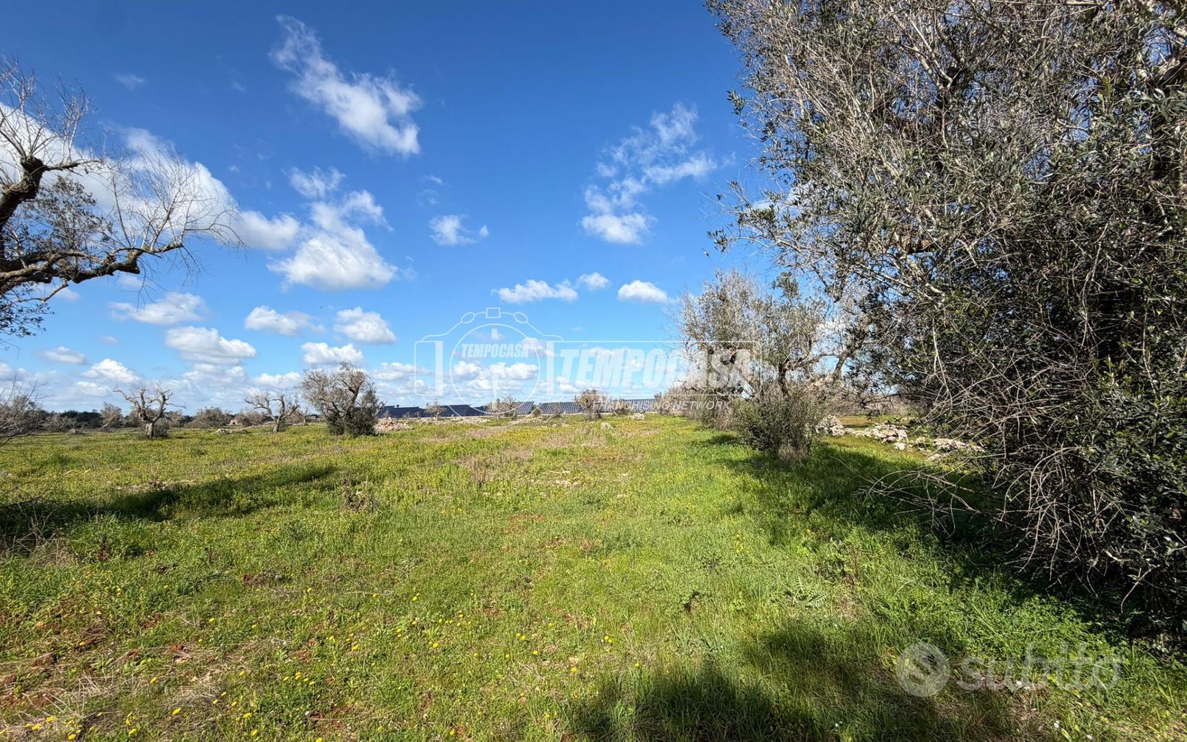 Terreno agricolo a Sanarica 1 locali - Altro