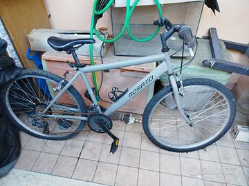 Bicicletta