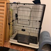 Gabbia roditori grandi