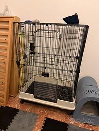 Gabbia roditori grandi