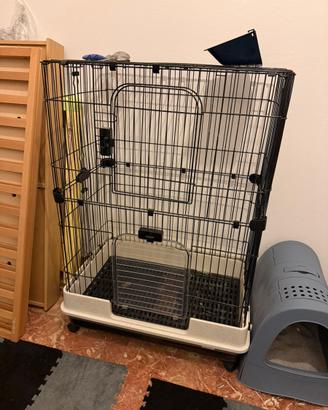 Gabbia roditori grandi