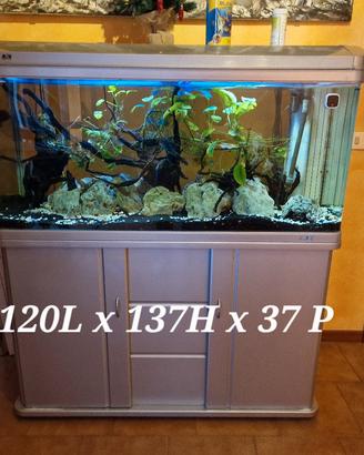  acquario  circa 300 litri 