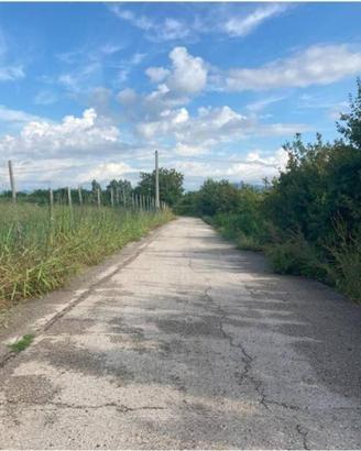 Immobile in asta di 1797 m² a San Bonifacio