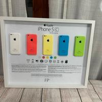 Quadro iPhone 5c smontato da collezione