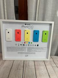 Quadro iPhone 5c smontato da collezione