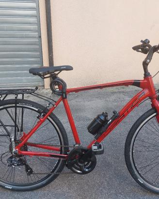 Bici Adriatica Custom con Shimano Tourney Boster