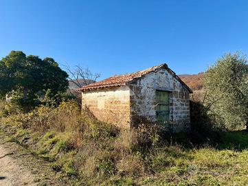 RUSTICO A SORIANO NEL CIMINO
