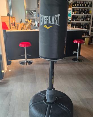 sacco da boxe everlast