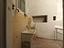 Immagine 9