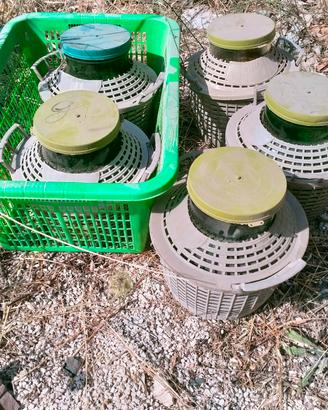 boccacci per olive 