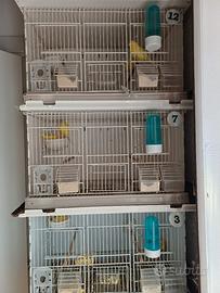batteria 20 gabbie