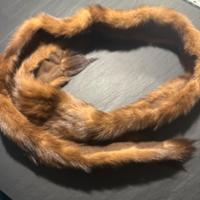 Collo di pelliccia