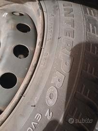 gomme da neve