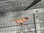 Immagine 3