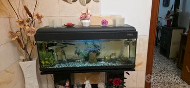 acquario 120L 