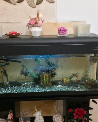 acquario 120L 