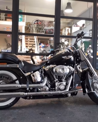 Harley Davidson Screamin Eagle scarichi Terminali 