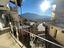 Immagine 17