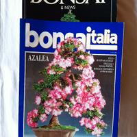 riviste specializzate in Bonsai 