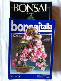 riviste specializzate in Bonsai 
