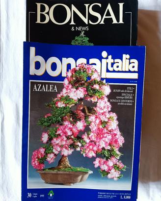 riviste specializzate in Bonsai 