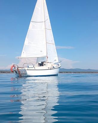 Barca a vela Beneteau Piranha 5.5m 