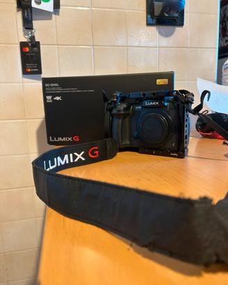 PANASONIC LUMIX DC-GH5