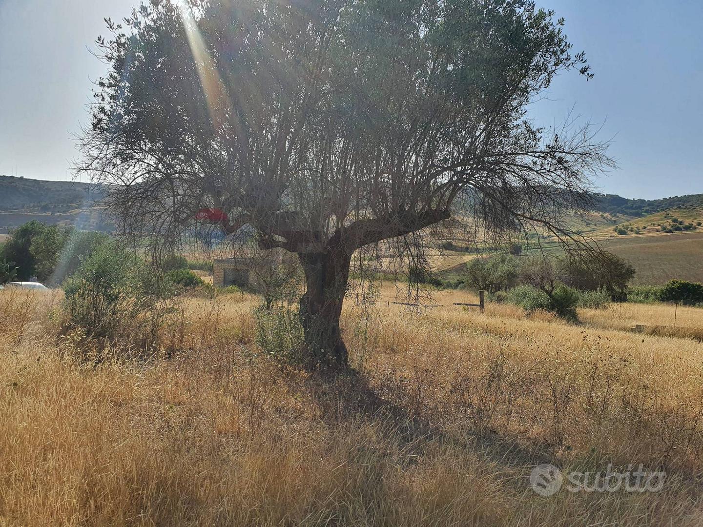 Terreno - Caltagirone - Vista 5