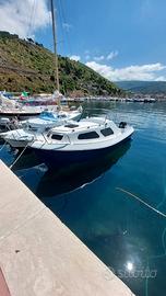 Pilotina cabinata 6mt.