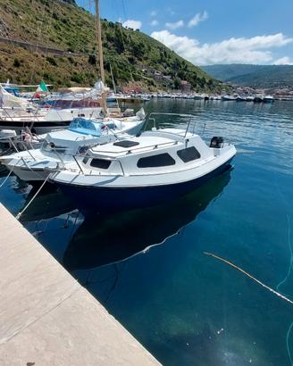 Pilotina cabinata 6mt.