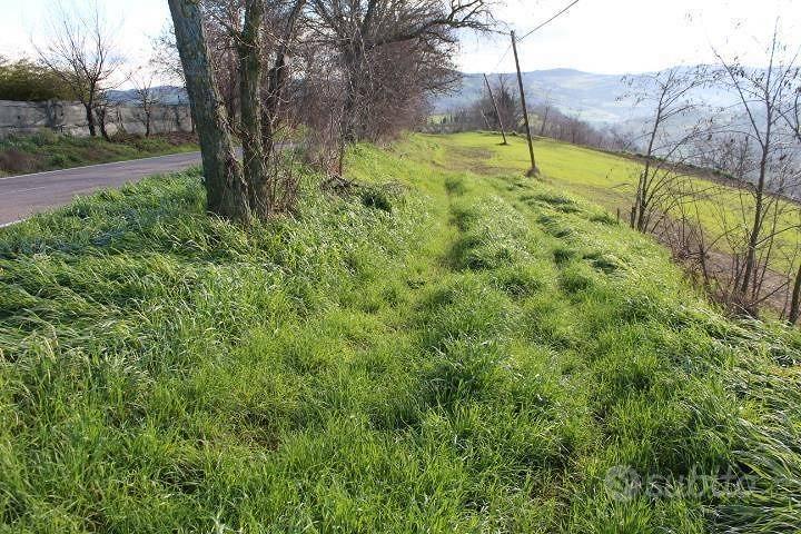 Immobile in asta di 43309 m² a Meldola - Vista 2