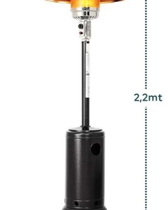 numero 2 fungo da giardino 