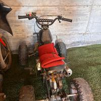 QUAD 110cc