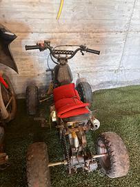 QUAD 110cc