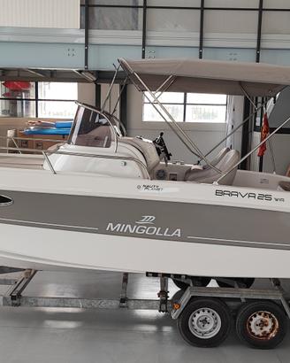 MINGOLLA BRAVA 25 WA con SUZUKI DF300